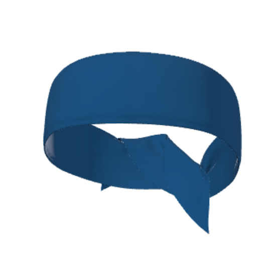 Centennial Volleyball Headbands