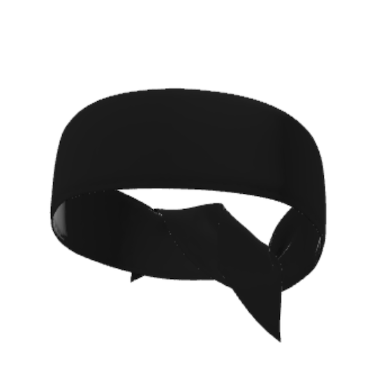 Centennial Volleyball Headbands