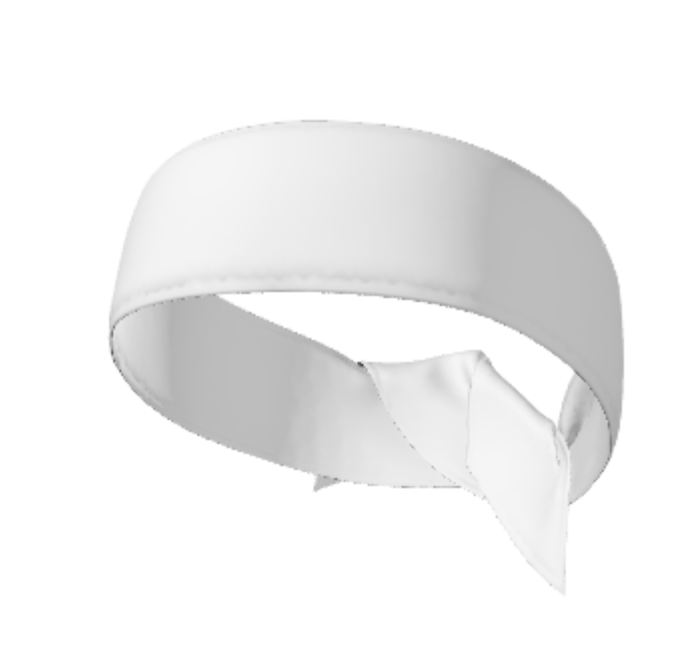 Centennial Volleyball Headbands